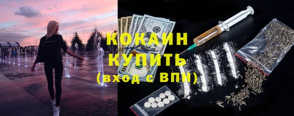 дживик Богданович