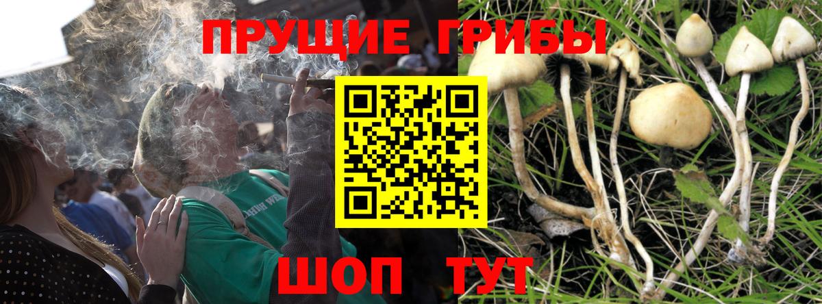 Галлюциногенные грибы Psilocybe  Вход с VPN  Маркс 